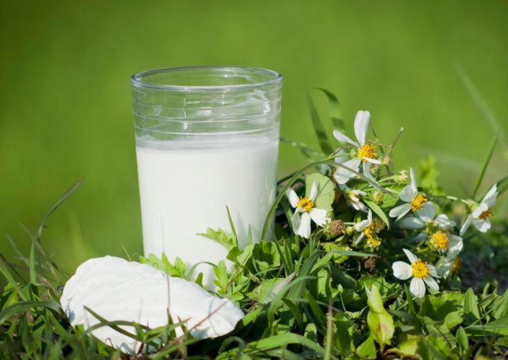 Nước uống đẹp da bột sắn dây Nước uống đẹp da bột sắn dây